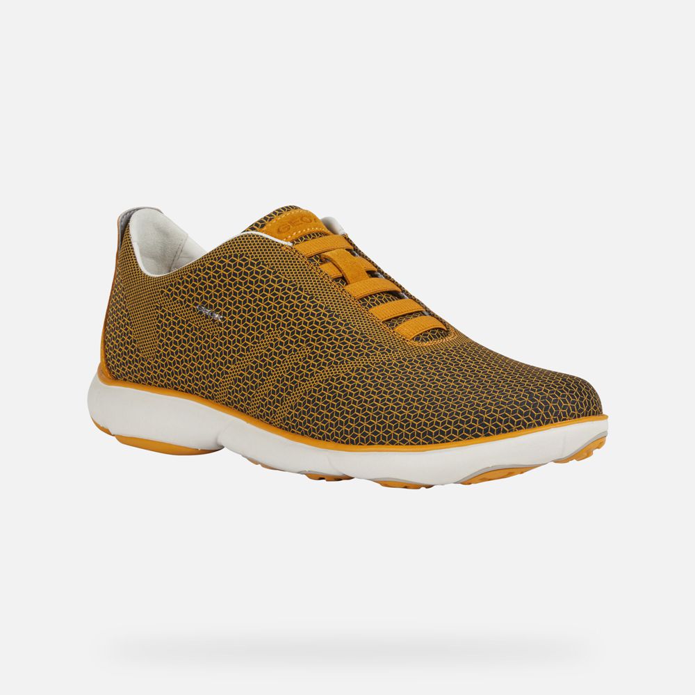 Basket Geox Nebula - Jaune - Homme 567803-DKZ